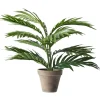 Areca Palm Kunstig plante 60 x 45 x 60 cm