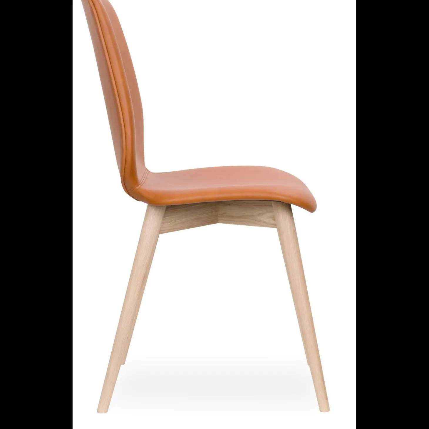 Share XL Curve Spisebordsstol