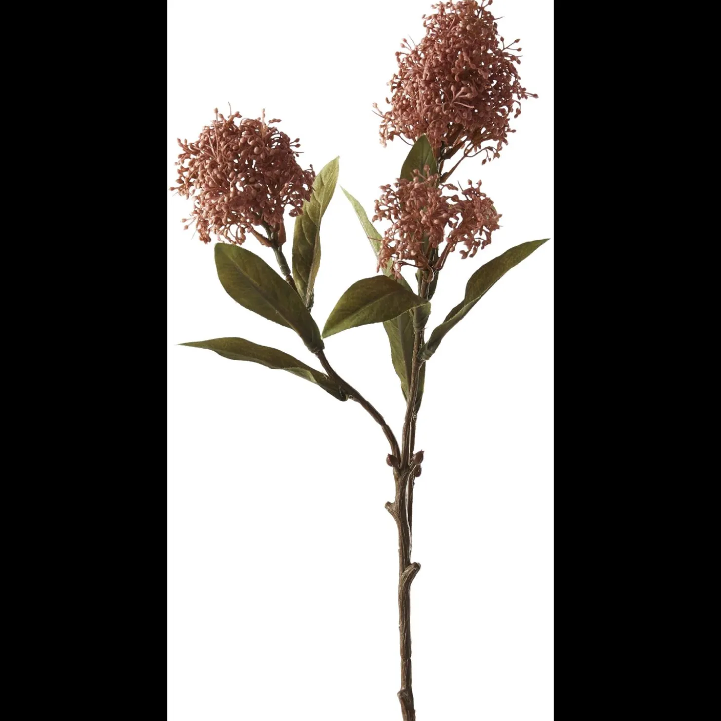 Skimia 2024 Kunstig plante 57 x 16 cm